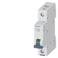 Автоматический выключатель Siemens 5SL6163-6