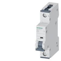 Автоматический выключатель Siemens 5SY4125-8