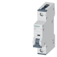 Автоматический выключатель Siemens 5SY4163-8